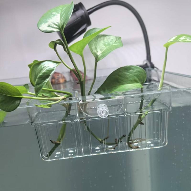 Hydroponic Plant Basket Food G - Aquarium Decor ulasan dan harga