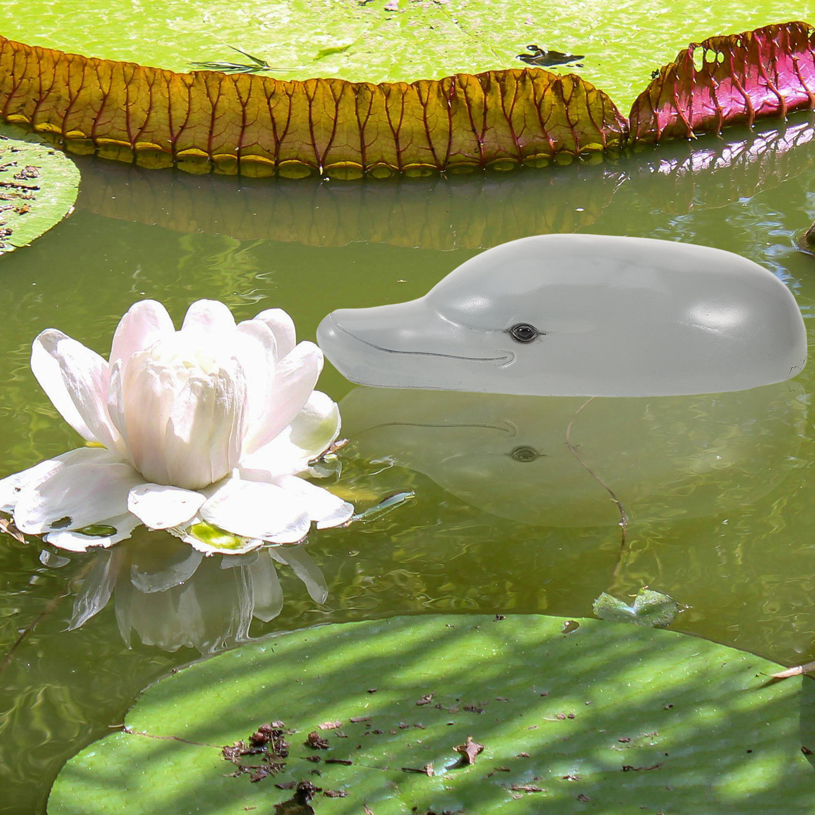 Premium Resin Dolphin Head Orn - Aquarium Decor ulasan dan harga